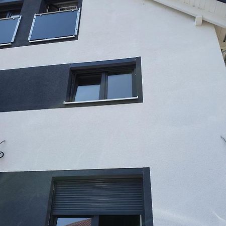 Bodensee Manolya 腓特烈港 外观 照片